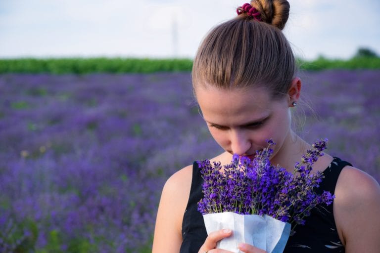 Terpènes et CBD : Comment ils boostent les effets et le goût