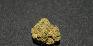 Avengarde – Weedelweiss – Test