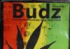 Budz-Jamaican-pack-Testeur-de-CBD