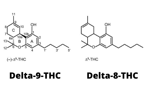 Représentation en dessin de la composition chimique du DELTA-8 THC vs DELTA-9 THC