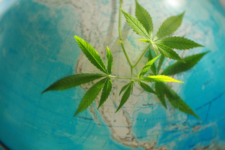 Légalisations et législations cannabis