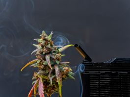 Vaporisation et Vaporisateurs – Tout savoir