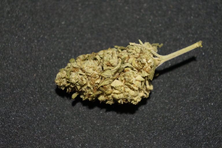 Orange Bud CBG – Hanfliebe : le test