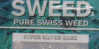 Super Silver Haze – Sweed – Test