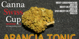 L’Arancia Tonic, triple primée (Slow Weed)