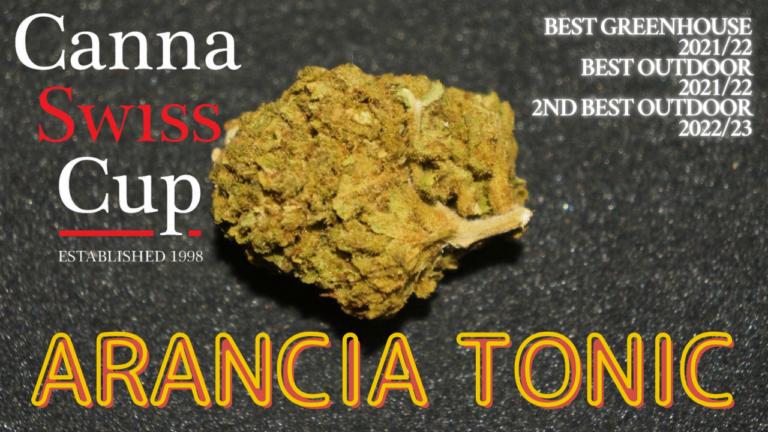 L&rsquo;Arancia Tonic, triple primée (Slow Weed)