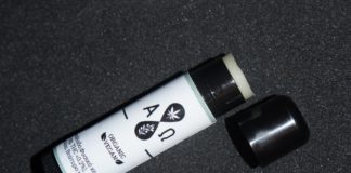 Stick à lèvres CBD – Alpha-Omega : le test