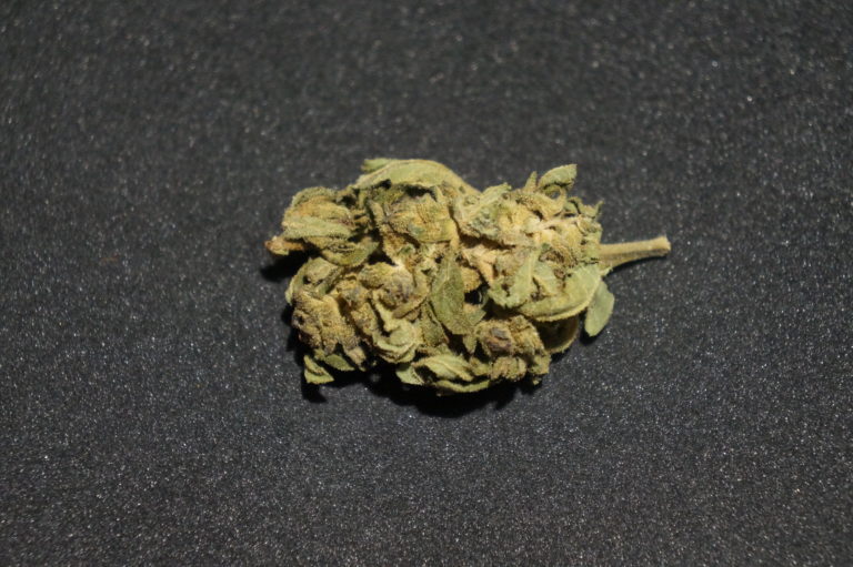 420 Greenroad – Harlequin Outdoor – Dégustation