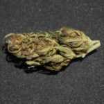 lemon cbd