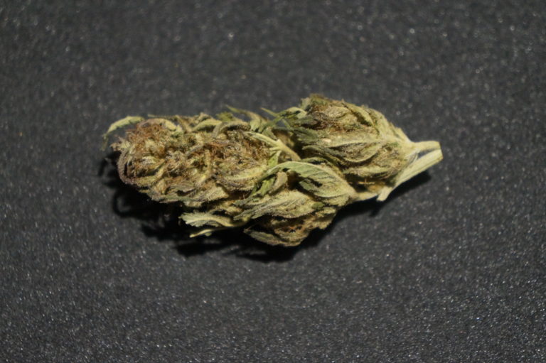 lemon cbd