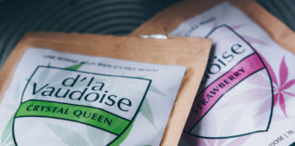 J’ai testé D’la vaudoise CBD – Crystal Queen & Strawberry
