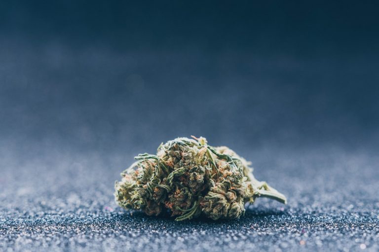 La Source du CBD – Paul Mitchell CBG – Dégustation