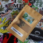 On découvre Team CBD !