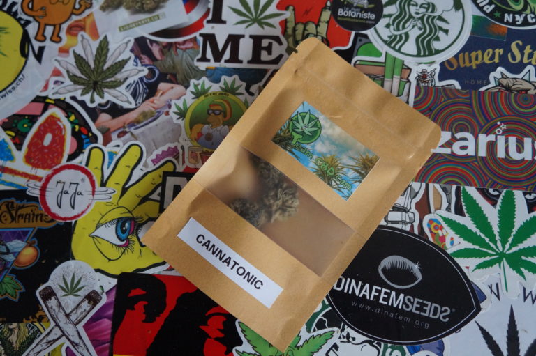On découvre Team CBD !