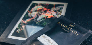 Ladymary – Strawberry Fields – Critique