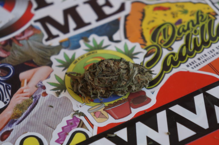 Alplant – Tangie Lemon – Avis