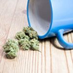 Fleurs de CBD : Toutes les utilisations possibles