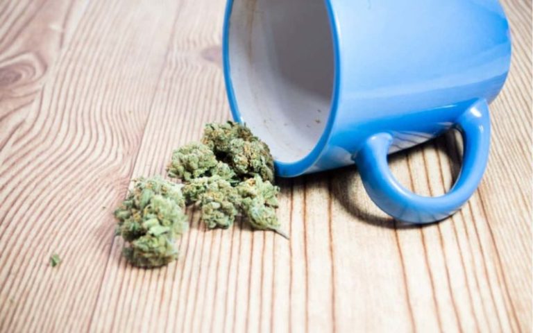 Fleurs de CBD : Toutes les utilisations possibles