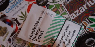 Heimat – Ernst – Critique