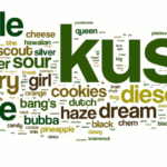 Cannabis : génétiques, culture et noms de variétés les noms de variétés dans le cannabis