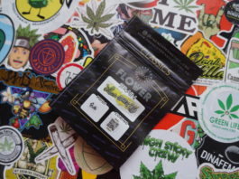 Frenchy Genetics – Lemone Garlic OG – Test lemon cbd