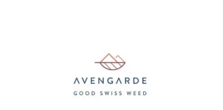 Avengarde – Fiche Technique et Avis Avis Avengarde - Annuaire des marques - Testeur de CBD