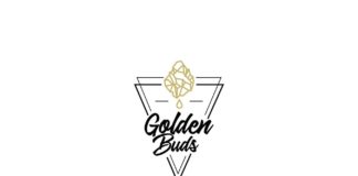 Golden Buds - Annuaire des marques - Testeur de CBD