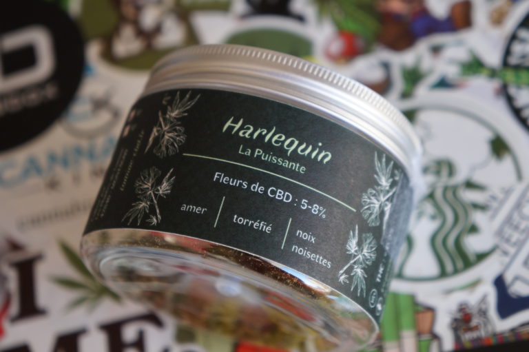Les Plantes de Tomine – Quadra de fleurs – Critique