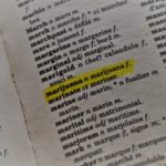 Le Grand Lexique du Cannabis