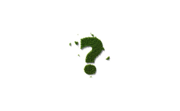 FAQ du CBD