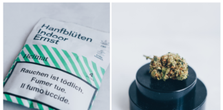 Je teste les fleurs Ernst d’Heimat