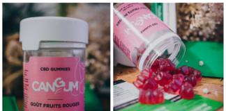 CanGum – Bonbons CBD – Test