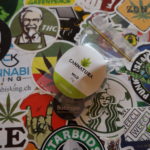 Cannatura – Fleurs Wild – Avis