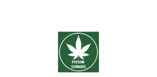 Passion Cannabis – Fiche Technique et Avis