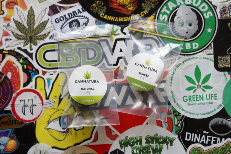 Cannatura : un producteur à la culture biologique