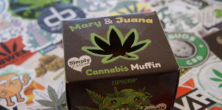 Je découvre les muffins Euphoria !