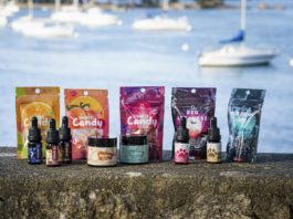 CBDVAP devient NOVALOA : Découvrez toutes les nouveautés !