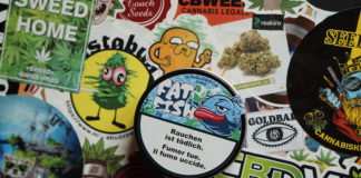 Jungle Bros – Fat Fish – Test