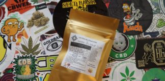 Enfin une Bubble Gum prometteuse ? (Le Clos du Chanvrier)