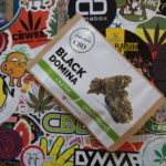 Découverte du Dispensaire du CBD