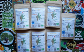 Cannapoitou, la claque !