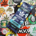 Stardawg, un pen utilisé et jeté !