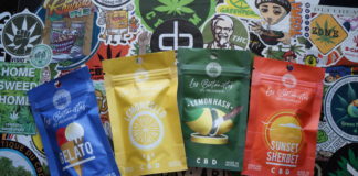 Je découvre Les Biotanistes !