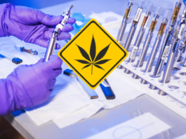 THX, HEC, HEC-10, CBD+, CBDP, THV-N10, CRD, 10-OH-HHC, CBG9, CB9, HHCH, PHC, THCP, THCM, THCB, THC-JD, RAF, H4CBD, CBNO, BVZ et E9D : le synthétique