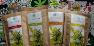 Les infusions selon Cymbiosed (Ecogrow)