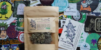 Fines Têtes, producteur de cannabis bio en Ariège