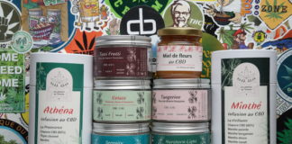 De belles nouveautés chez Tomine !