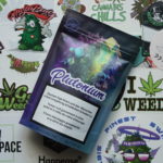 Du Plutonium en Suisse ! (Urban Pharm)