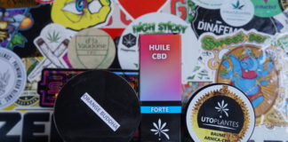 Découverte du projet Utoplantes