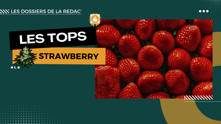 Top Strawberry fraise